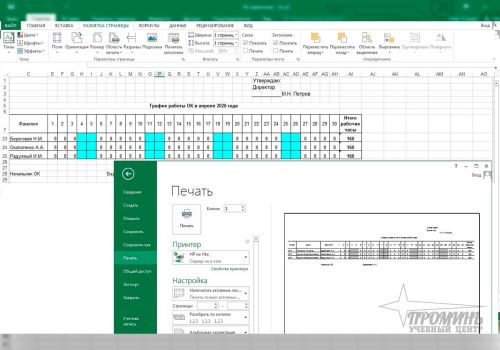 predvaritelnyj_prosmotr_i_pechat_excel