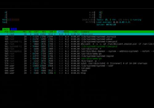 programma-htop